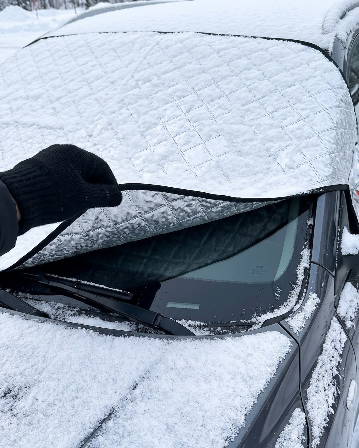 Windshield Snow Cover with Door Flaps and Mirror Covers